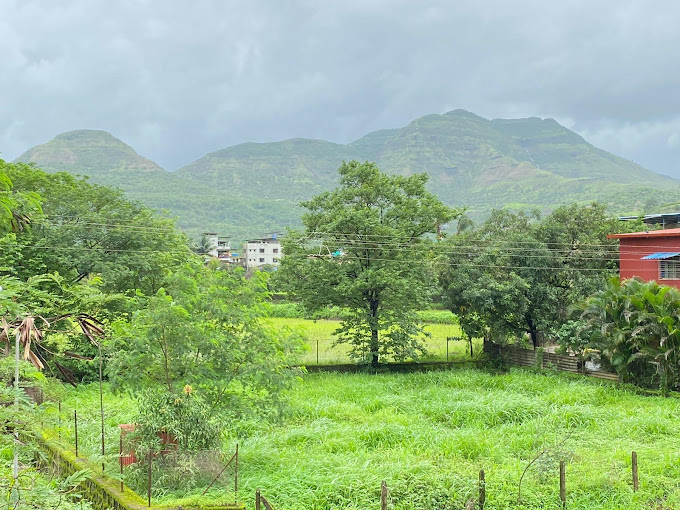 Property Thumbnail