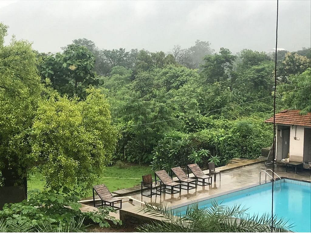 1 Bhk Treehouse